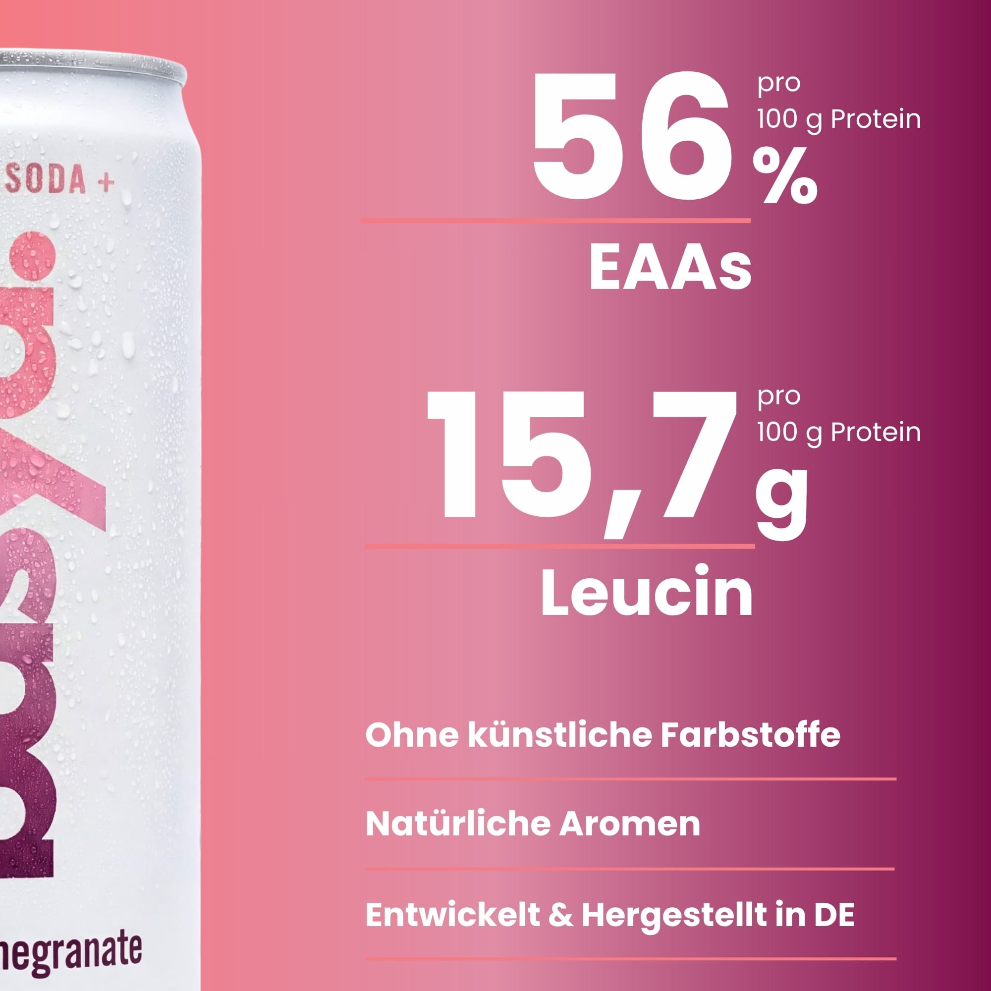 Zuckerfreie Protein Soda + mit Magnesium