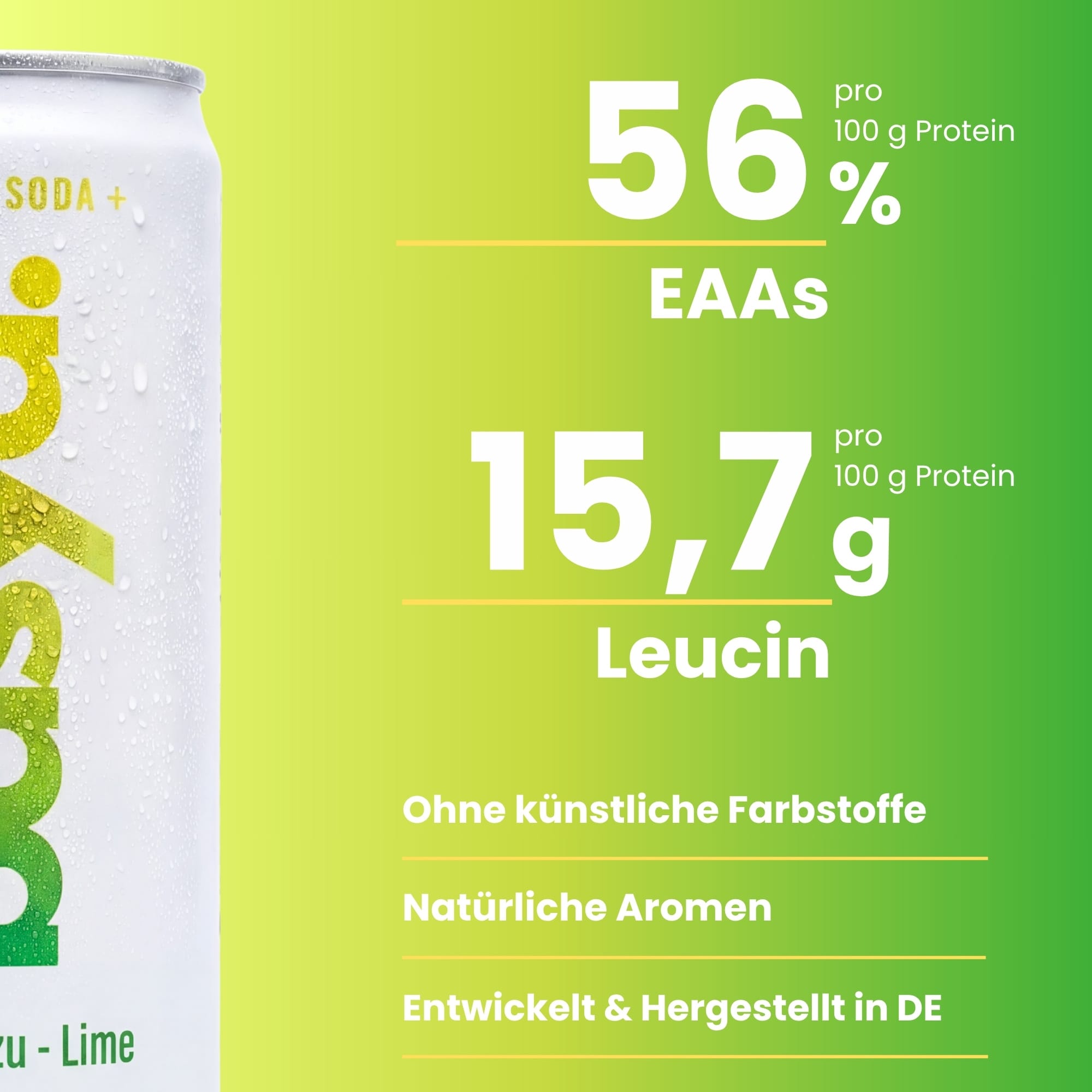 Zuckerfreie Protein Soda + mit Magnesium