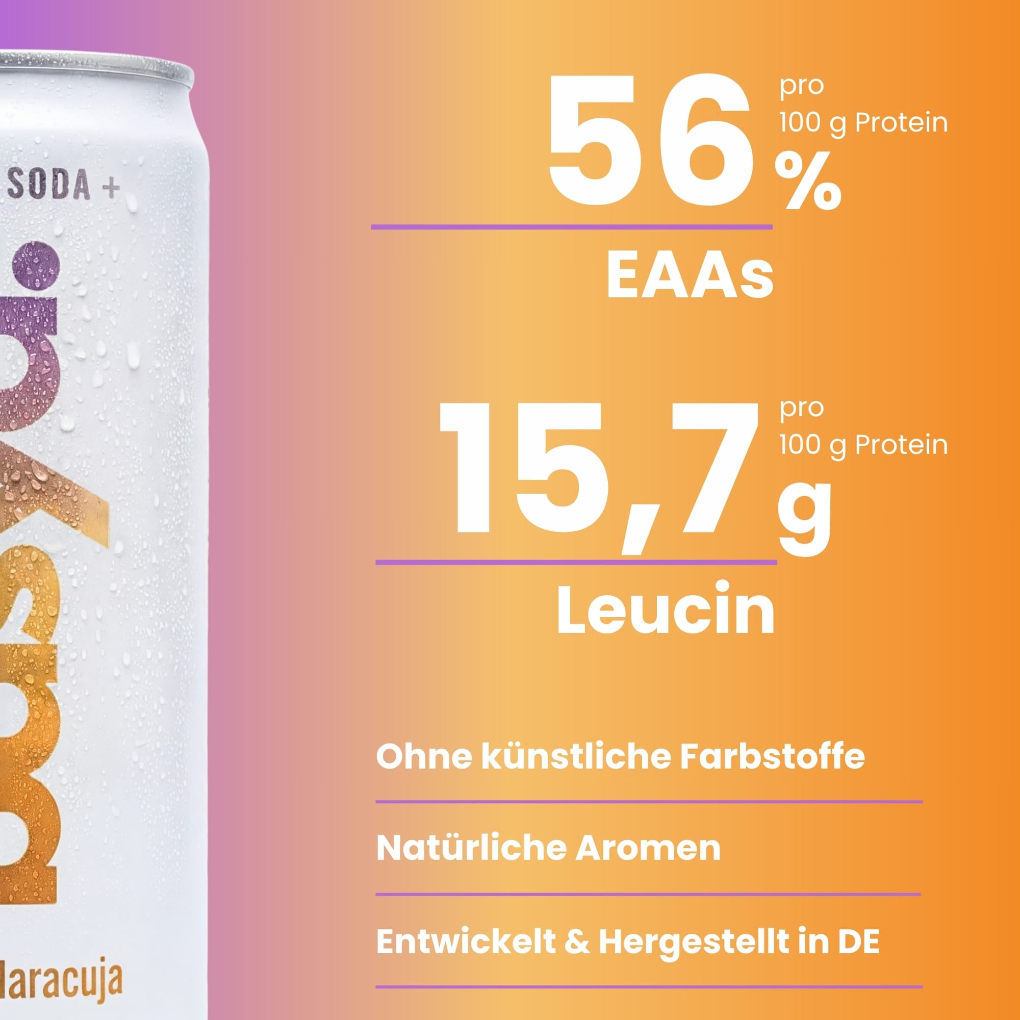 Zuckerfreie Protein Soda + mit Magnesium
