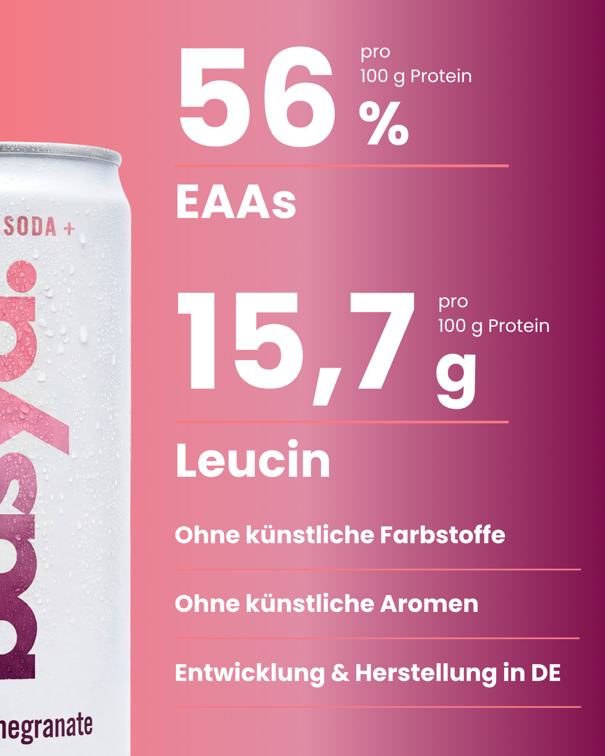 Zuckerfreie Protein Soda + mit Magnesium