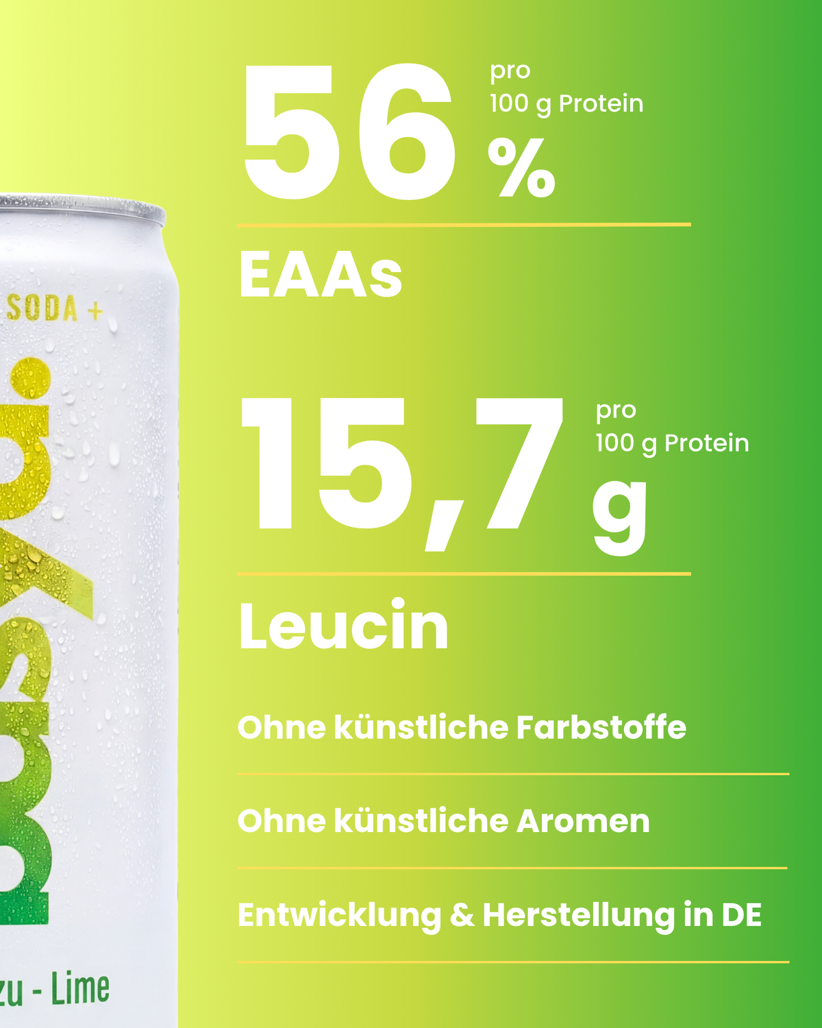 Zuckerfreie Protein Soda + mit Magnesium