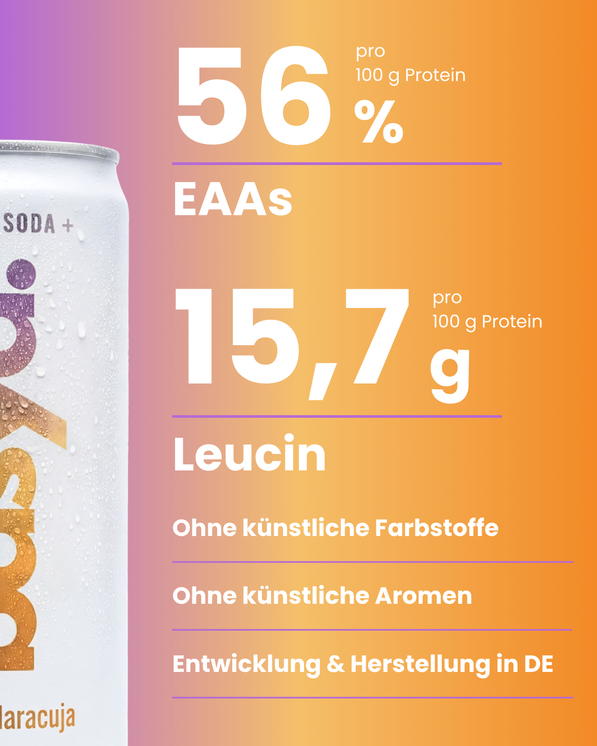 Zuckerfreie Protein Soda + mit Magnesium